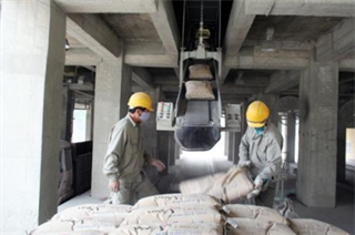 Vietnam Construction Material Company opens cement plant in Dong Nai
