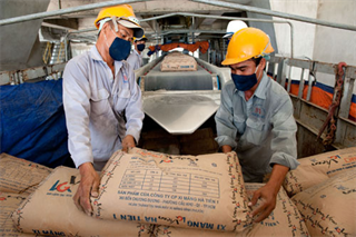 Vietnam government to sell stake in cement giant